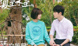 夏至未至电视剧