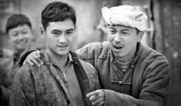 路遥电视剧有哪些,描绘人生百态，传承经典之作